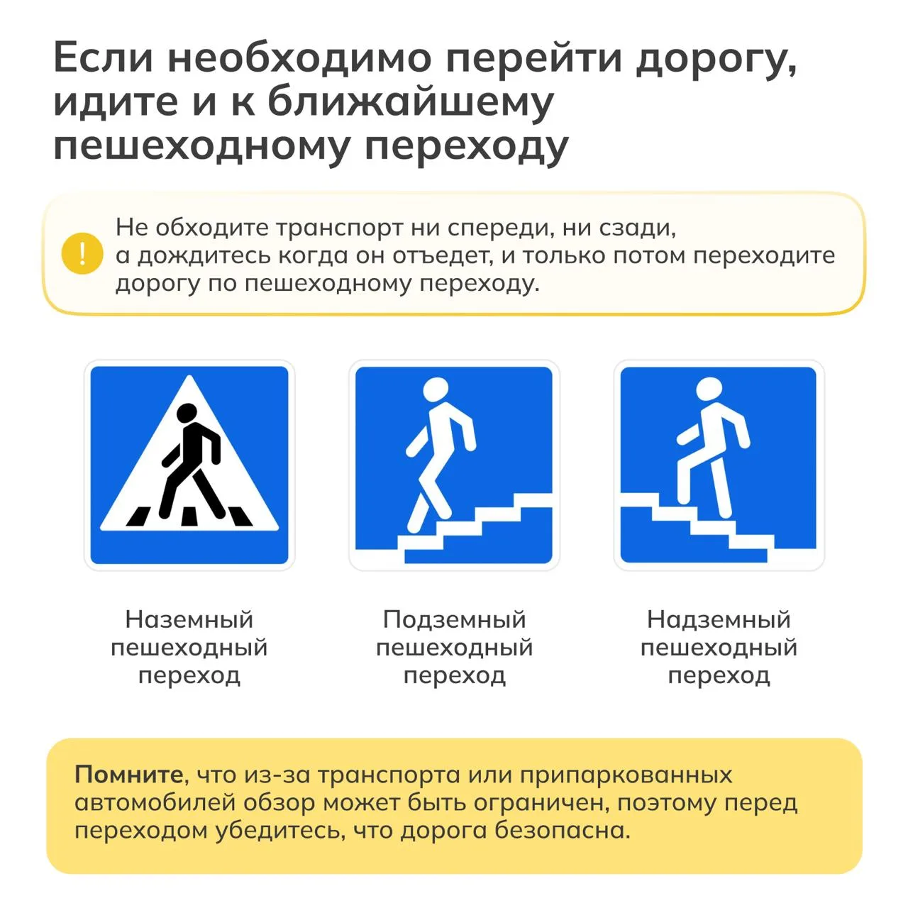 🚎 Наземный общественный транспорт — часть повседневной жизни.   Мы пользуемся им каждый день: по дор