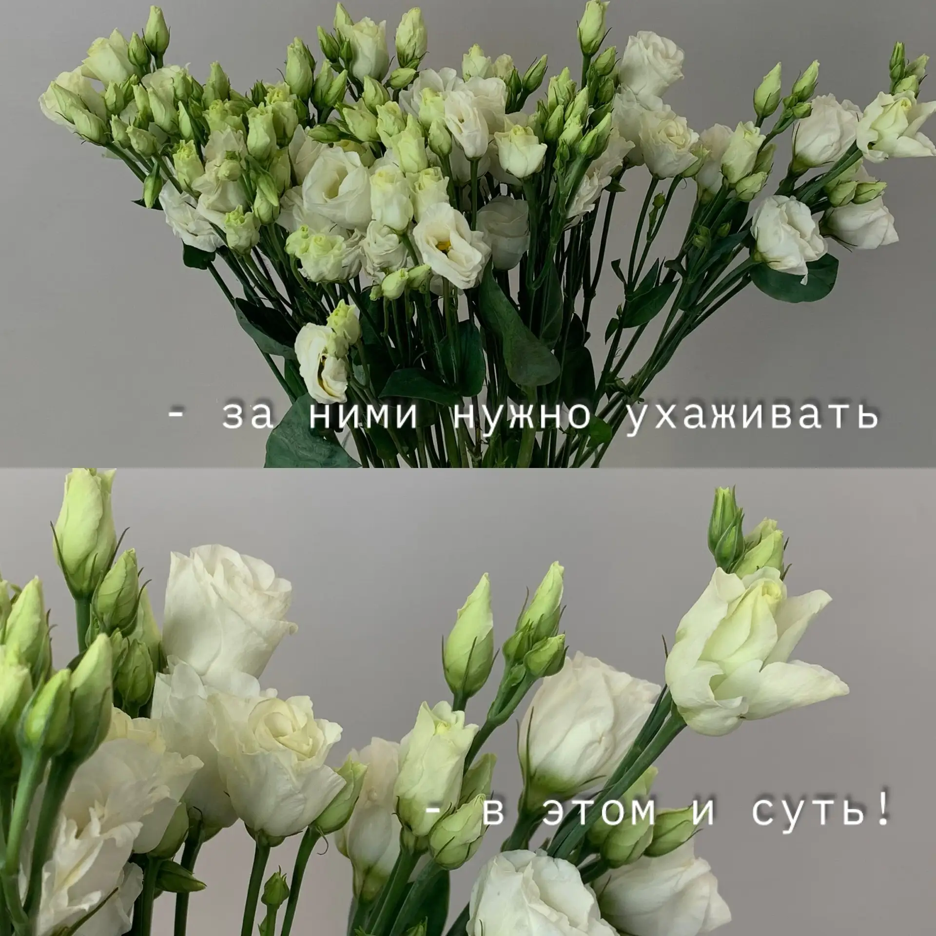 В этом и суть ! 🌻🌾

Оформить заказ:
-  Direct;
-  MAX/Telegram +7 927-668-60-60
Бесплатная доставк