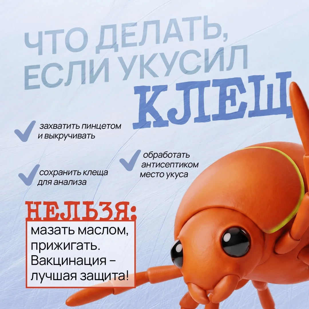 Что делать при укусах животных и насекомых 🦗