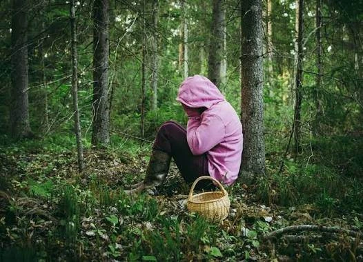 Оперативно и профессионально: полицейские Кыштыма вернули из леса заблудившуюся женщину