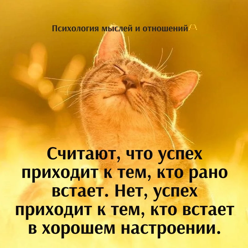 Успех — в настроении, а не в будильнике

Вы замечали, как нас с детства учат: «Кто рано встаёт, тому