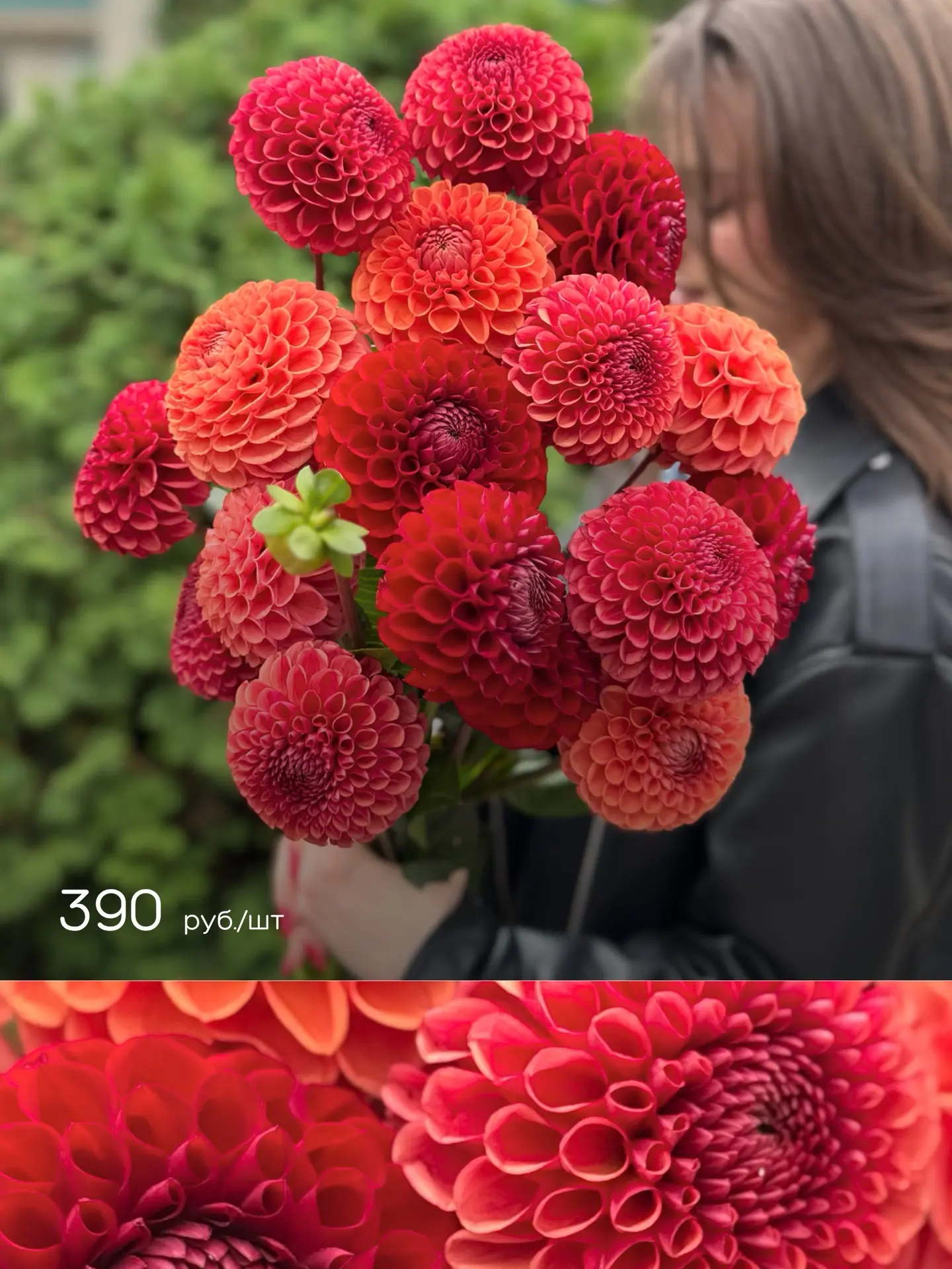 В наличии георгины в ярких терракотовых и бордовых оттенках 🧡❤️
