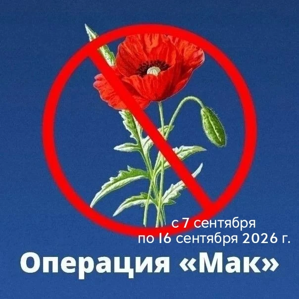 ⚠️ Внимание! ⚠️