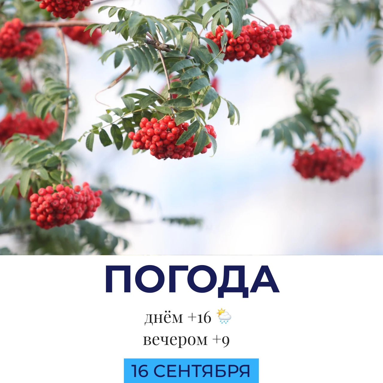 🌦 Погода сегодня