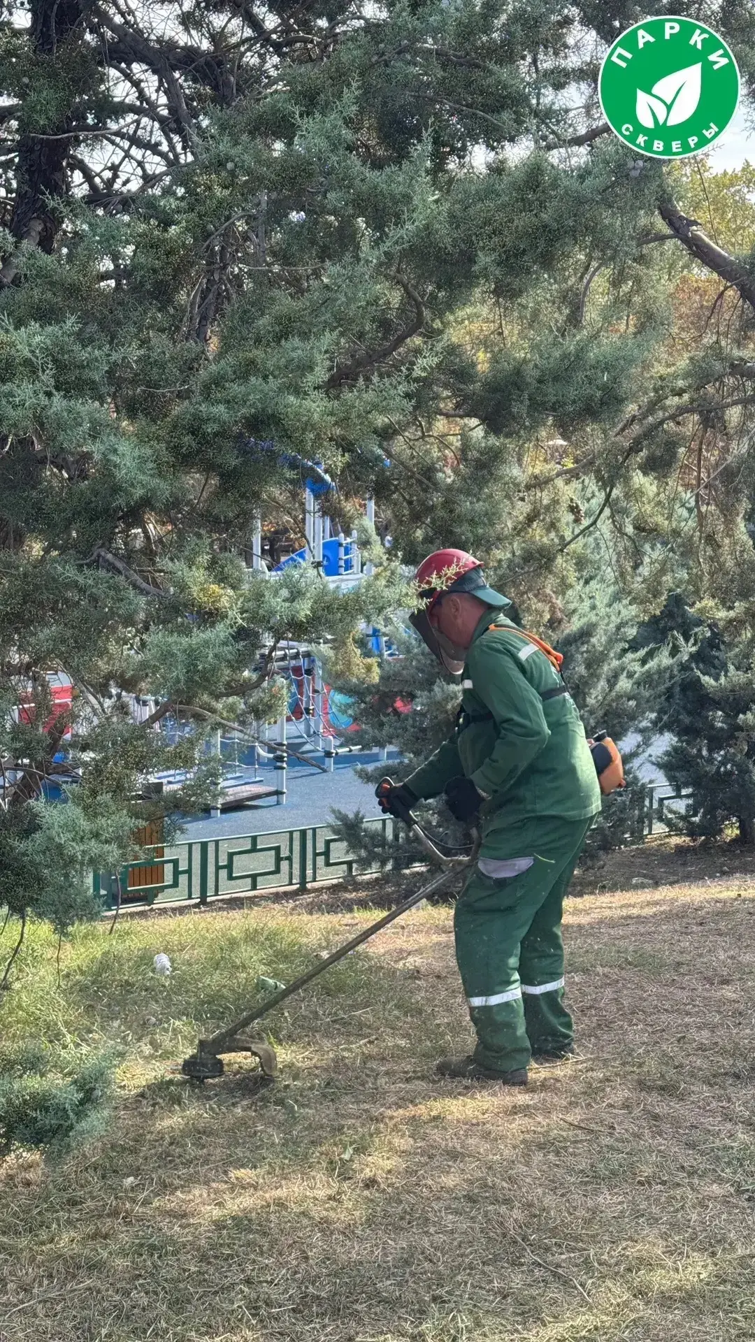 В сквере Севастопольских курсантов успешно проведены работы по покосу травы.