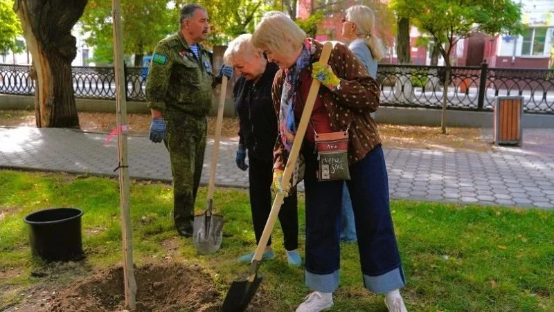 🌳 Братский сад в Астрахани украсили клёнолистные платаны