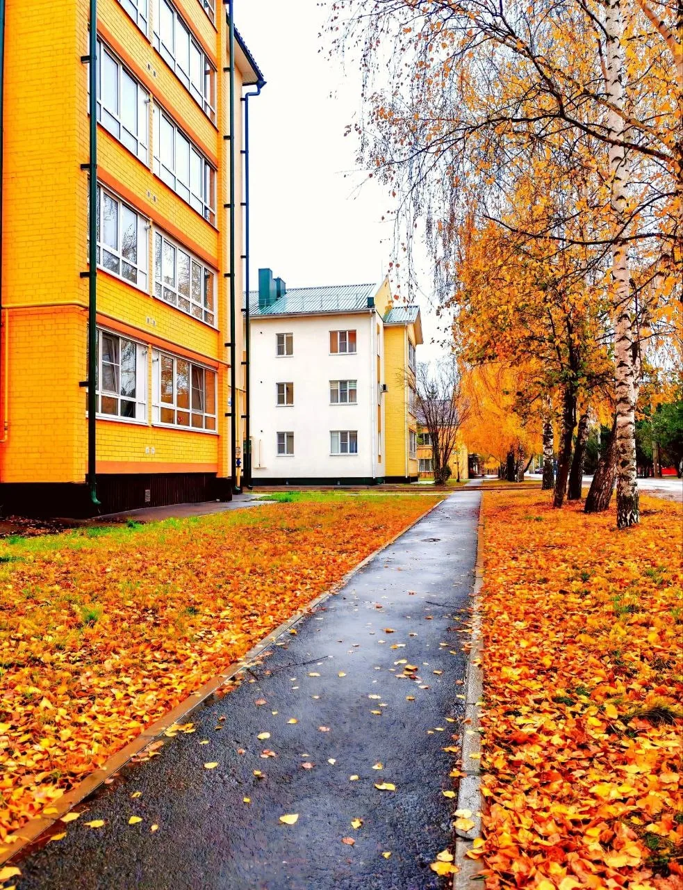 📸🍂 Друзья! Напоминаем, что в нашем сообществе "ВКонтакте" проходит фотоконкурс #ливен...