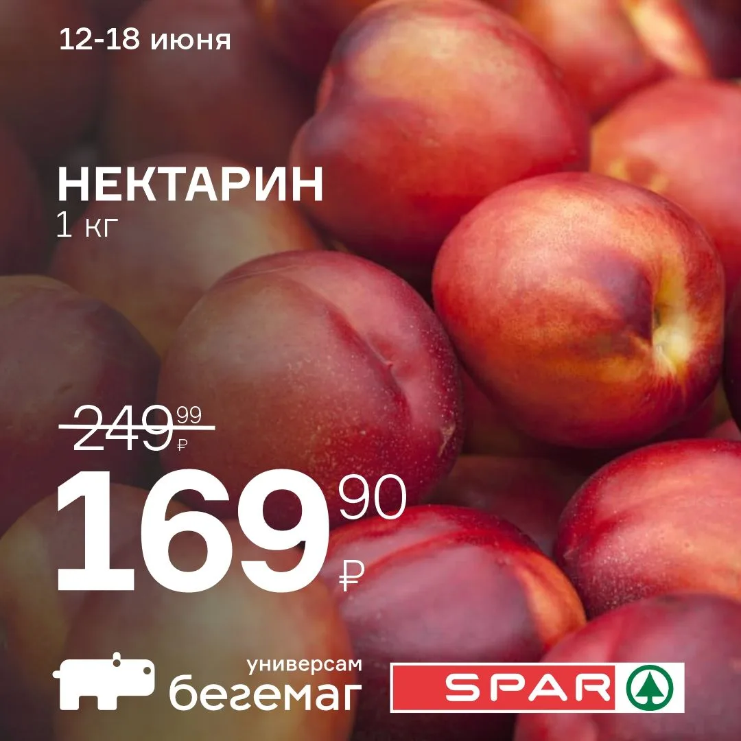 Сладкий нектарин - вкус лета!

До 18 июня в «Бегемаг» и «SPAR» - сочные, ароматные нектарины всего 1