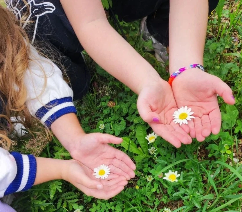 🌼Ромашковое счастье: как малыши отмечали День семьи, любви и верности

Ромашка - настоящий символ Д