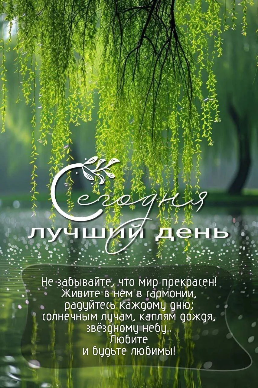 🔆Сегодняшний день — непростой, вязкий. Он очень похож на вчерашний и может легко утяну...