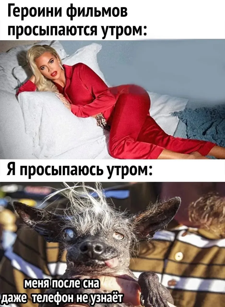 👉Ой, всё! Подписаться