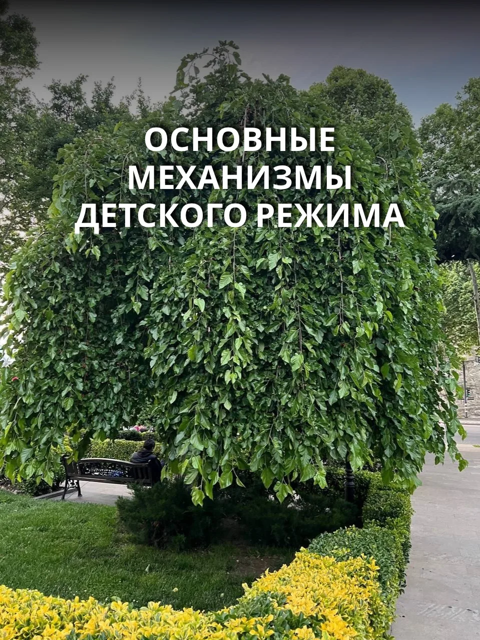 Основные механизмы детского режима

1️⃣ Не видеть правды
Этот механизм работает проще всего — он про