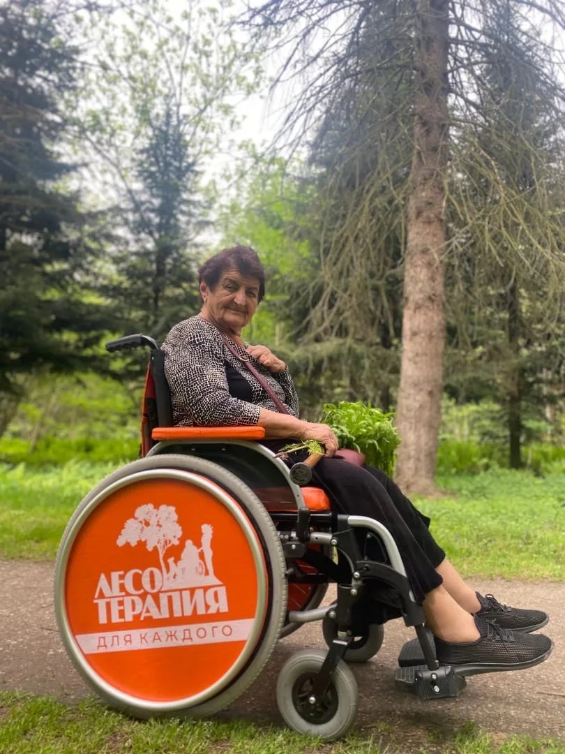 #Лесотерапия в действии  - на лесных трапах Осетии.