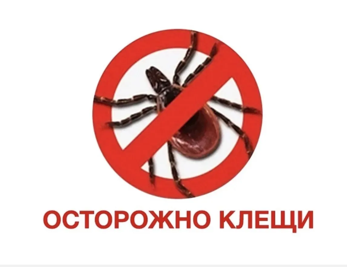 Будьте бдительны! Клещи 🕷уже активизировались!  Давайте обезопасим себя и своих близки...