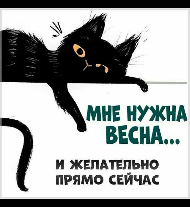 Прочь, заботы!