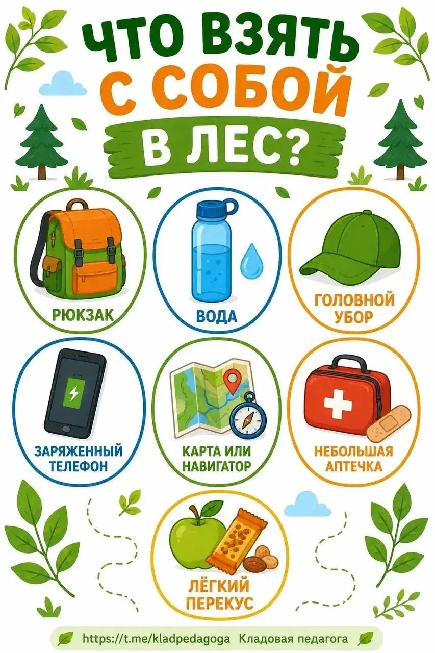 🌲 Лес ждёт! Но сначала — правила!

Лес — это не просто деревья. Это огромная зелёная страна со свои
