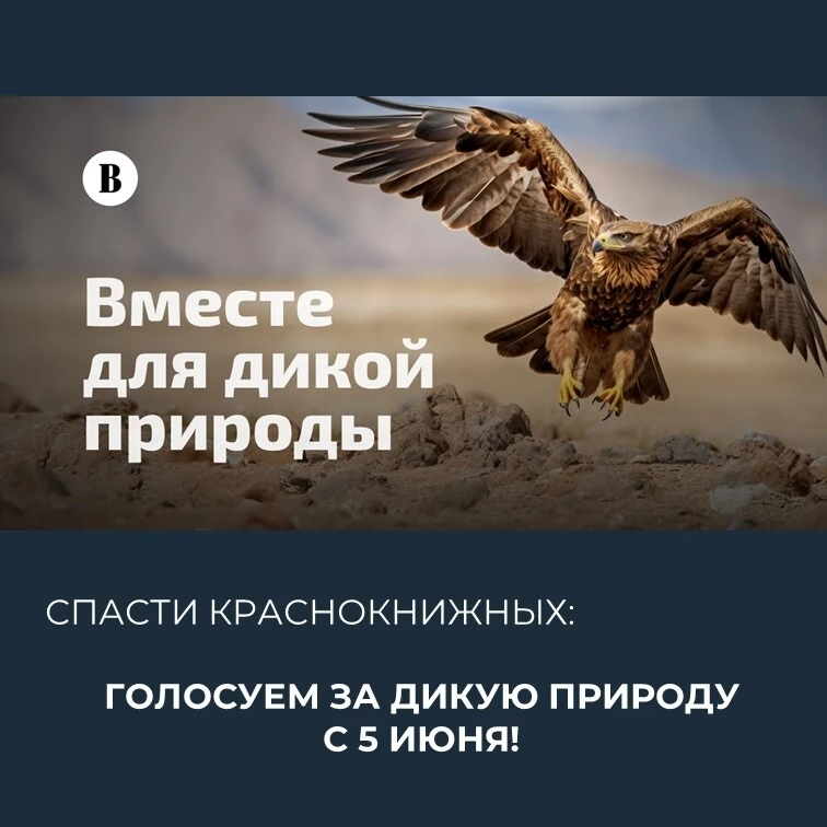 Голосуйте за спасение редких животных и растений России! 🌿🐾