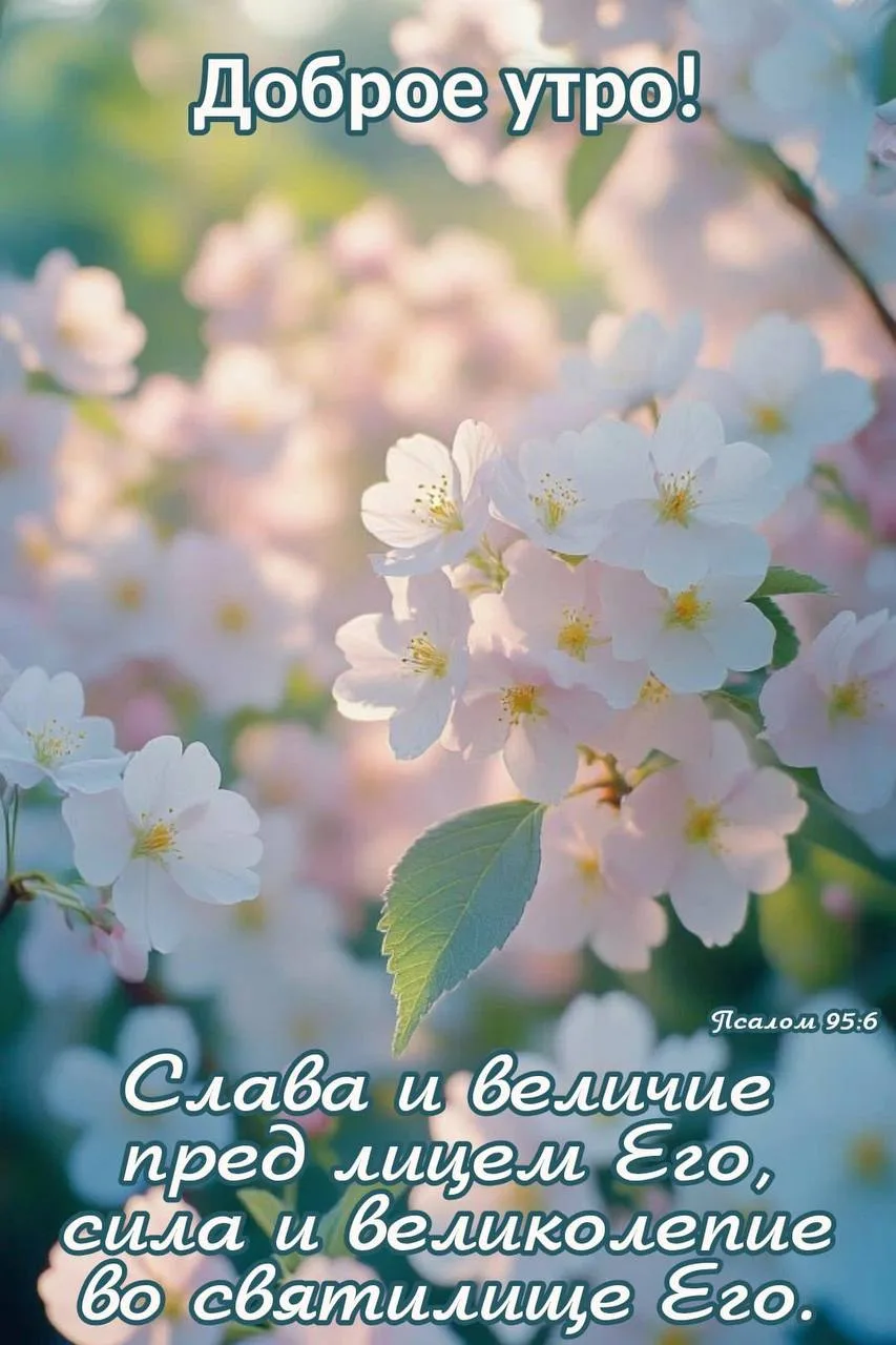 ❤️❤️❤️❤️Открытки❤️❤️❤️❤️
Теперь и в MAX