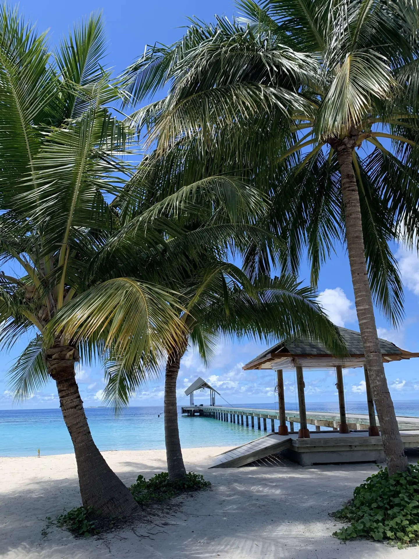 🇲🇻 МАЛЬДИВЫ
