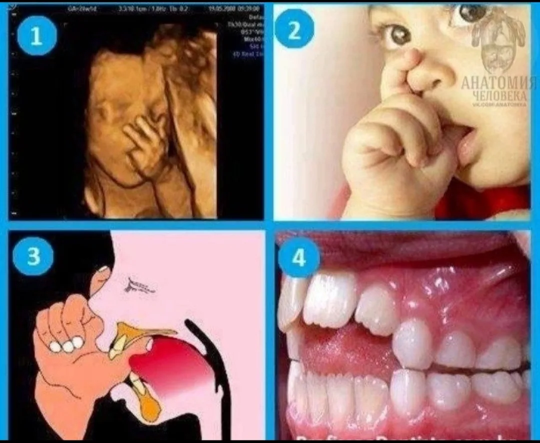 Фото