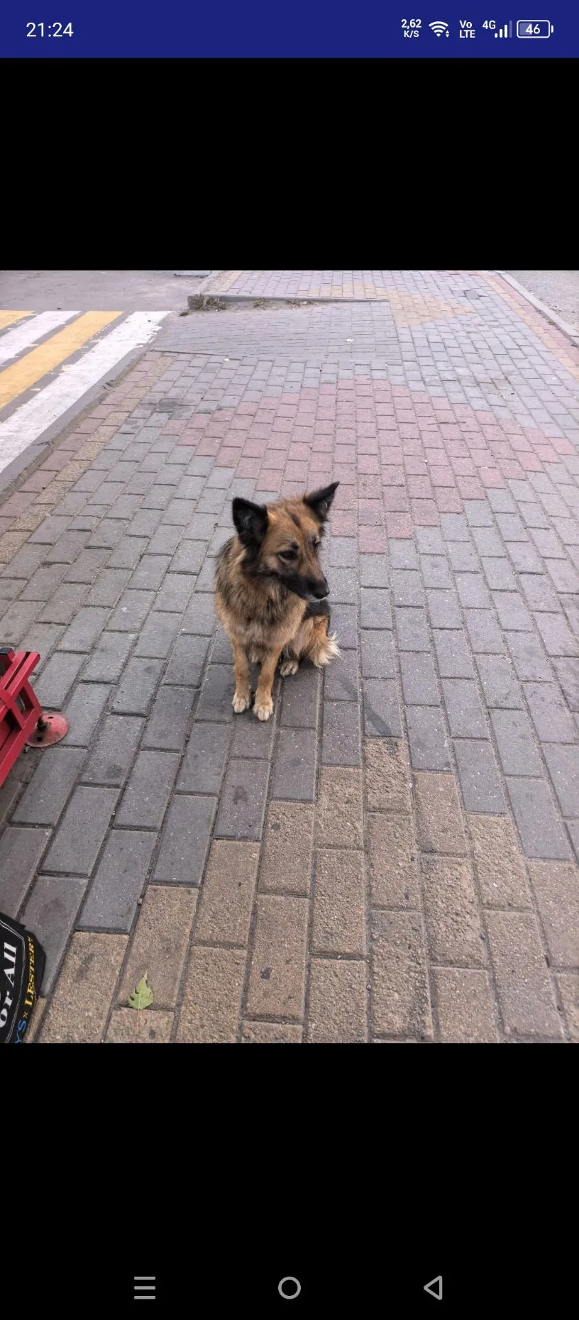 Сергей, здравствуйте! Если не сложно, пожалуйста, опубликуйте  пост.Заранее спасибо 🙏