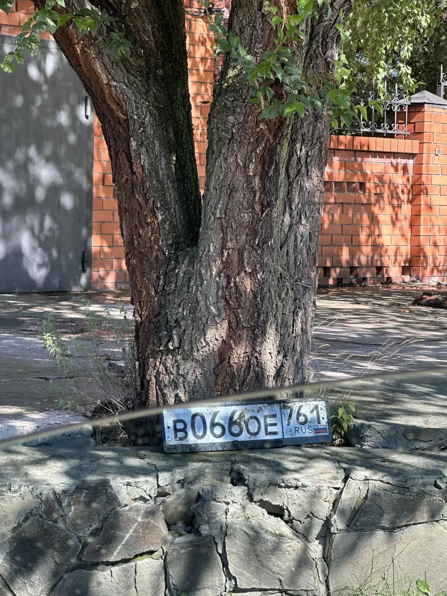На БВП кто-то потерял знак

- Если вдруг Вы потеряли номер, то он стоит возле дерева, на повороте, в