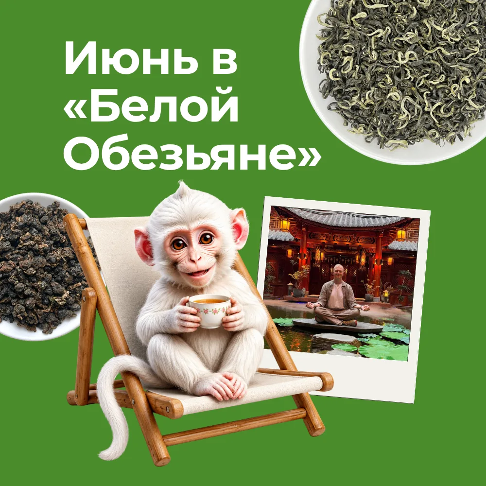 ИЮНЬСКИЕ ДЕГУСТАЦИИ И СОБЫТИЯ «БЕЛОЙ ОБЕЗЬЯНЫ» 


КИНОПОКАЗЫ — месяц кино и чайной тишины
Фурштатска