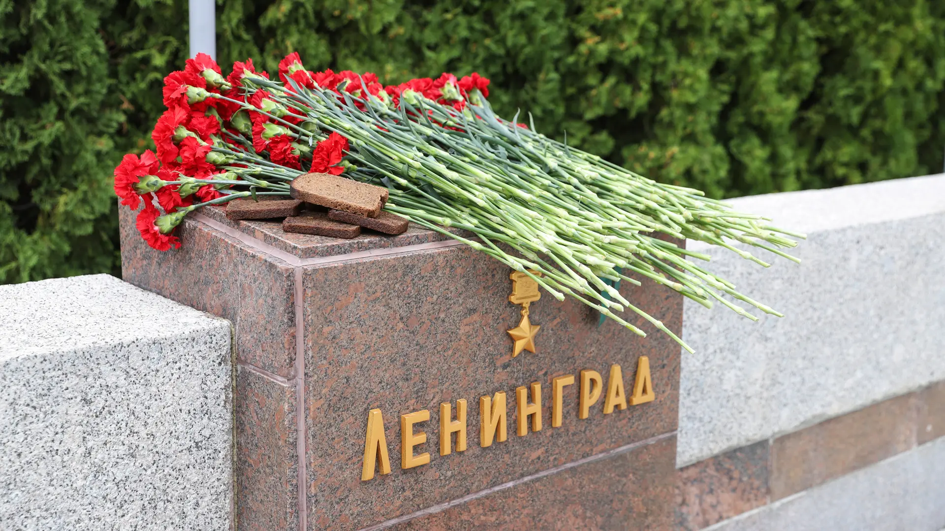 🥀 На Мамаевом кургане состоялся митинг, посвященный 85-й годовщине начала блокады Лени...