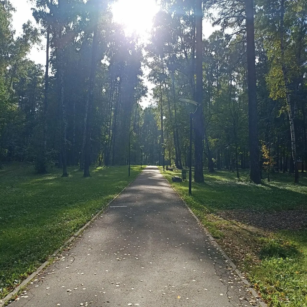 От сообщества: приятного вечера, друзья, и спасибо нашему подписчику за фото☀️☀️