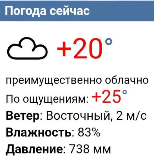 Сейчас в Чебоксарах 20 градусов. Но из-за высокой точки росы и слабого ветра ощущается как плюс 25.
