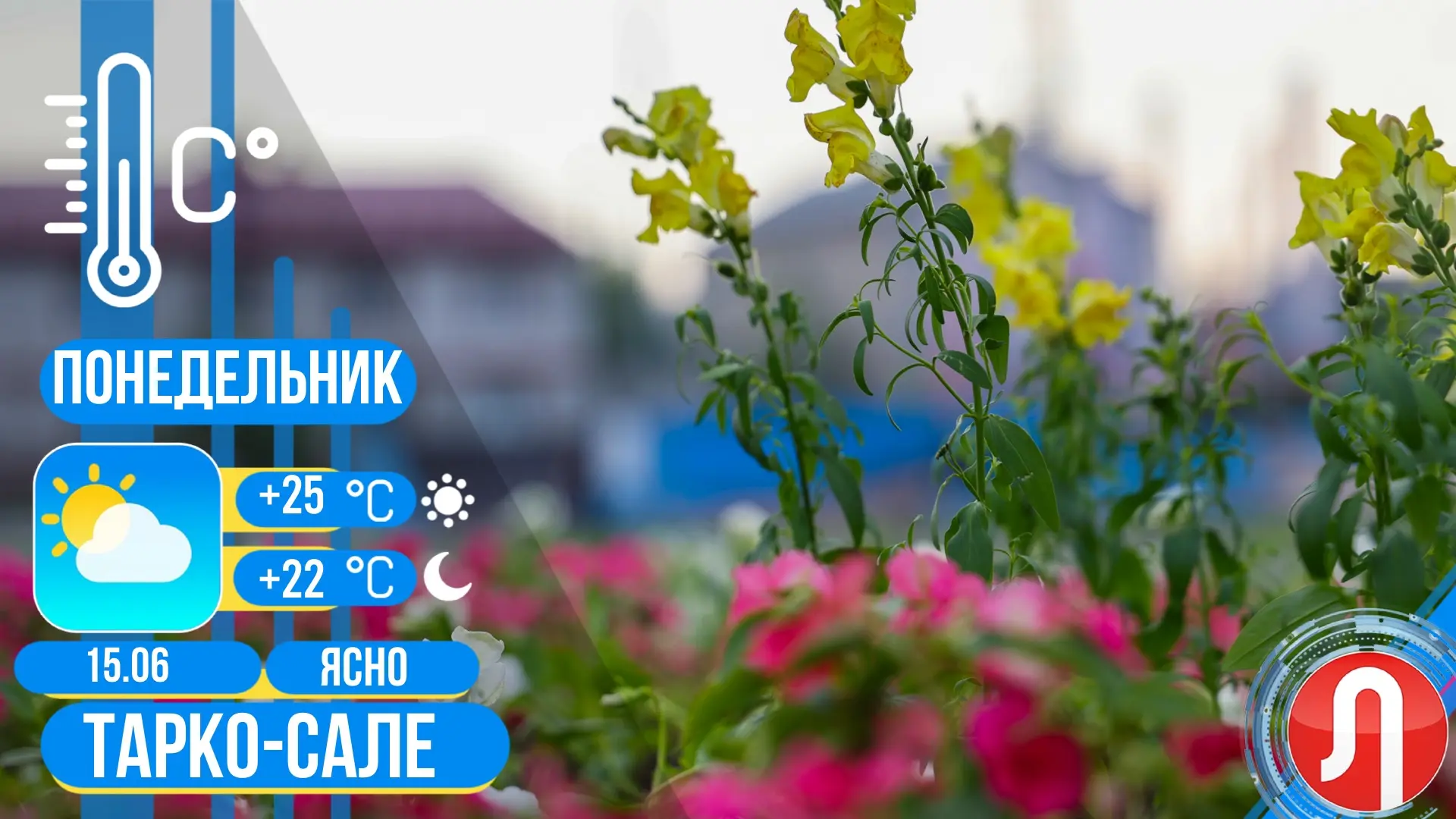 🌤️Прогноз погоды 

✔️Сегодня в Тарко-Сале ясно, без осадков. Температура воздуха днем +25 градусов.