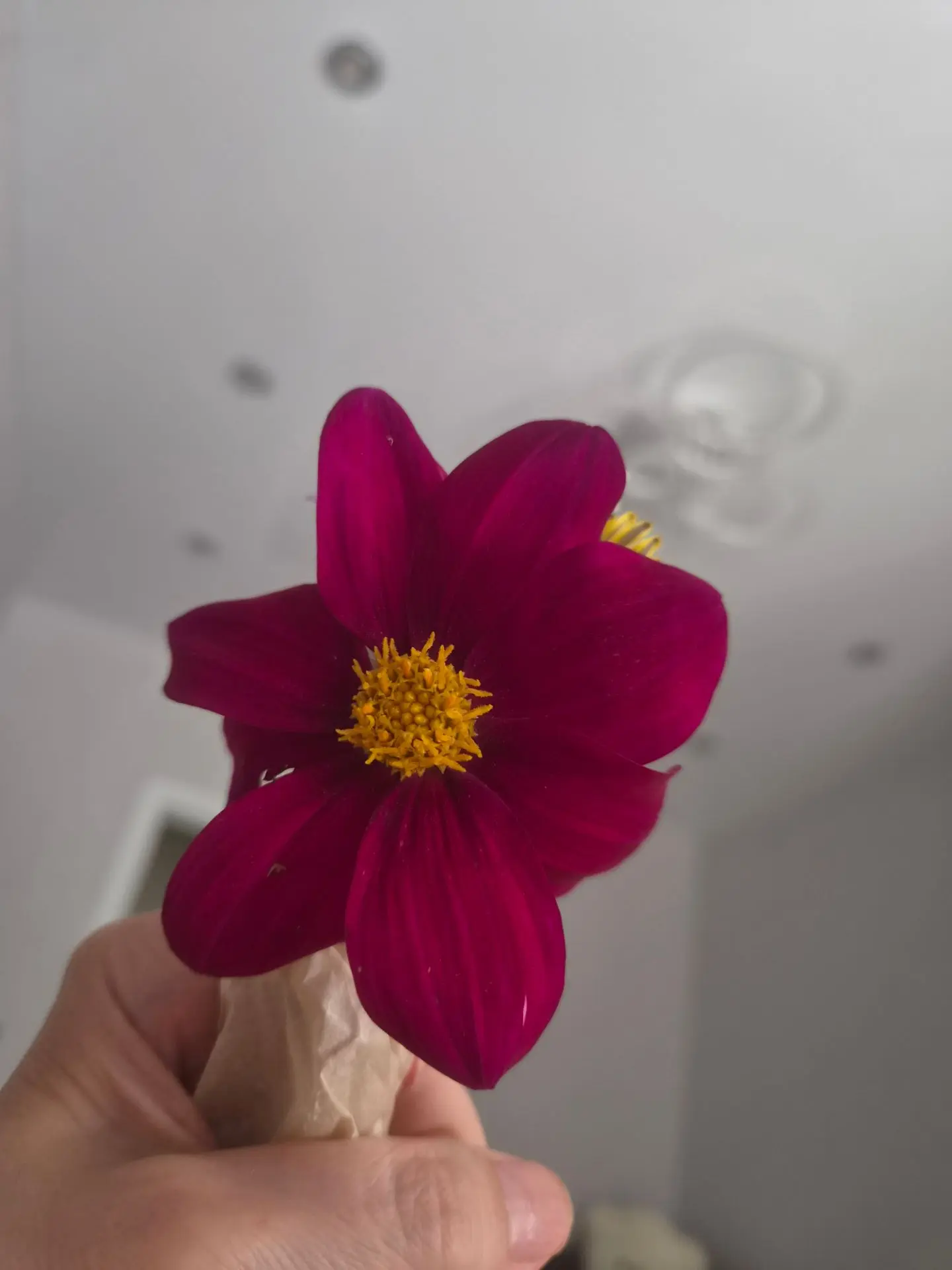 Алёна подарила🥰