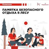 🌲 Безопасность в лесу: как вернуться домой с грибами, а не с проблемами

🗺 Маршрут известен. Перед