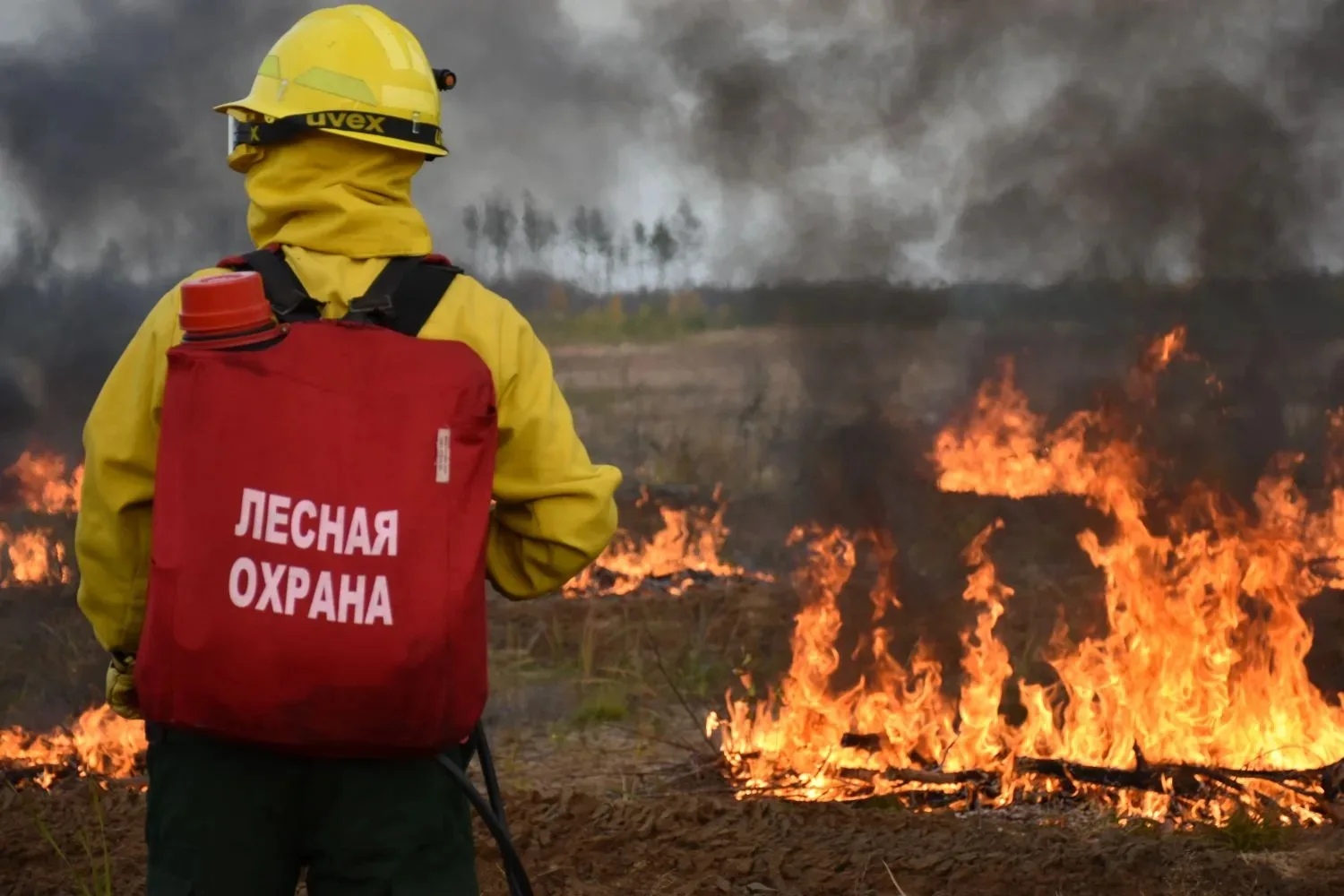 В выходные прогнозируется III класс пожарной опасности

🚩С повышением температуры воздуха в лесах М