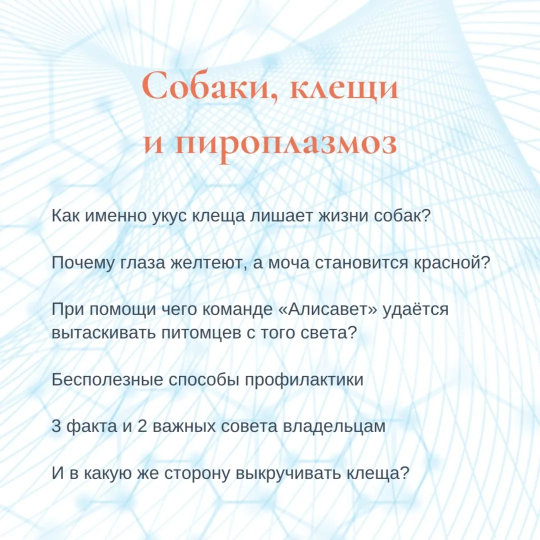 🐶 Чтобы узнать ответы: