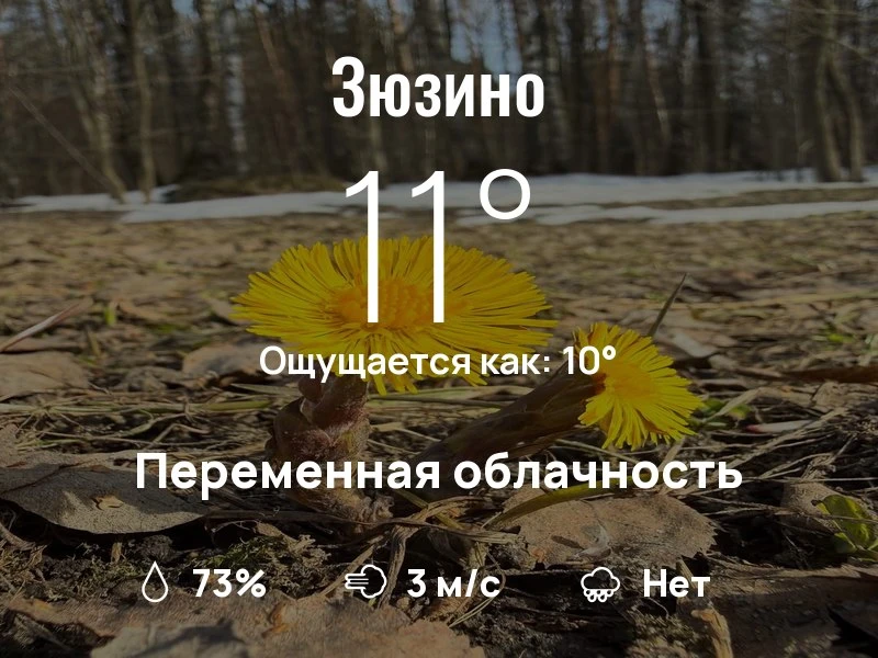 Что с погодой в Зюзино?