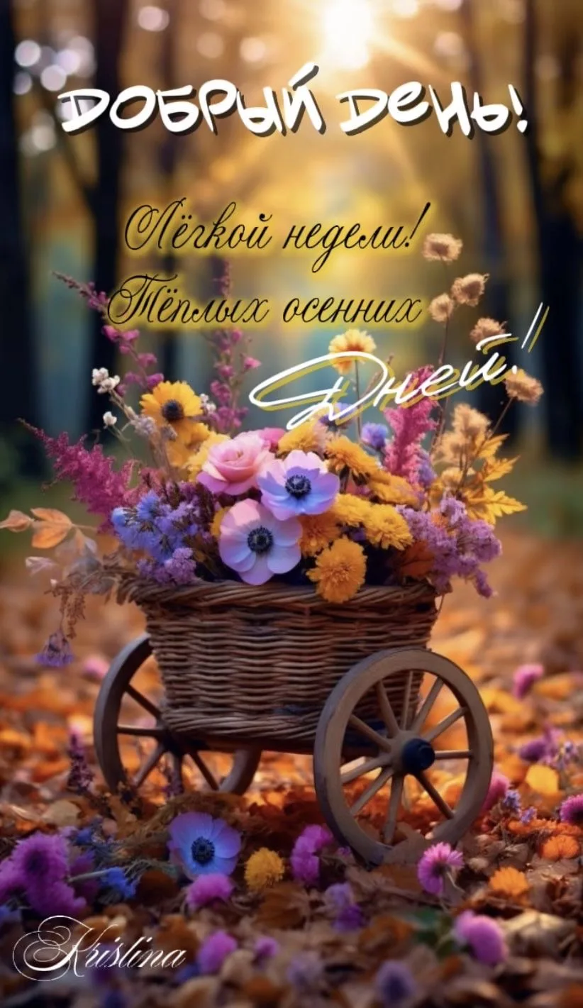Дом Открыток🏠