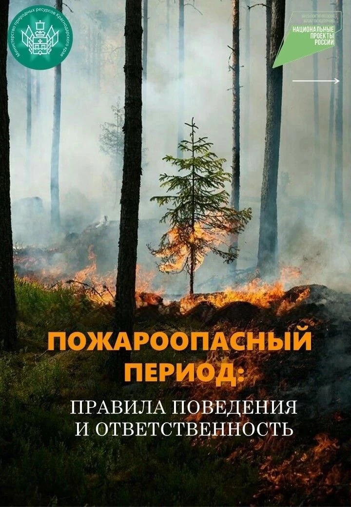 Правила поведения и ответственность