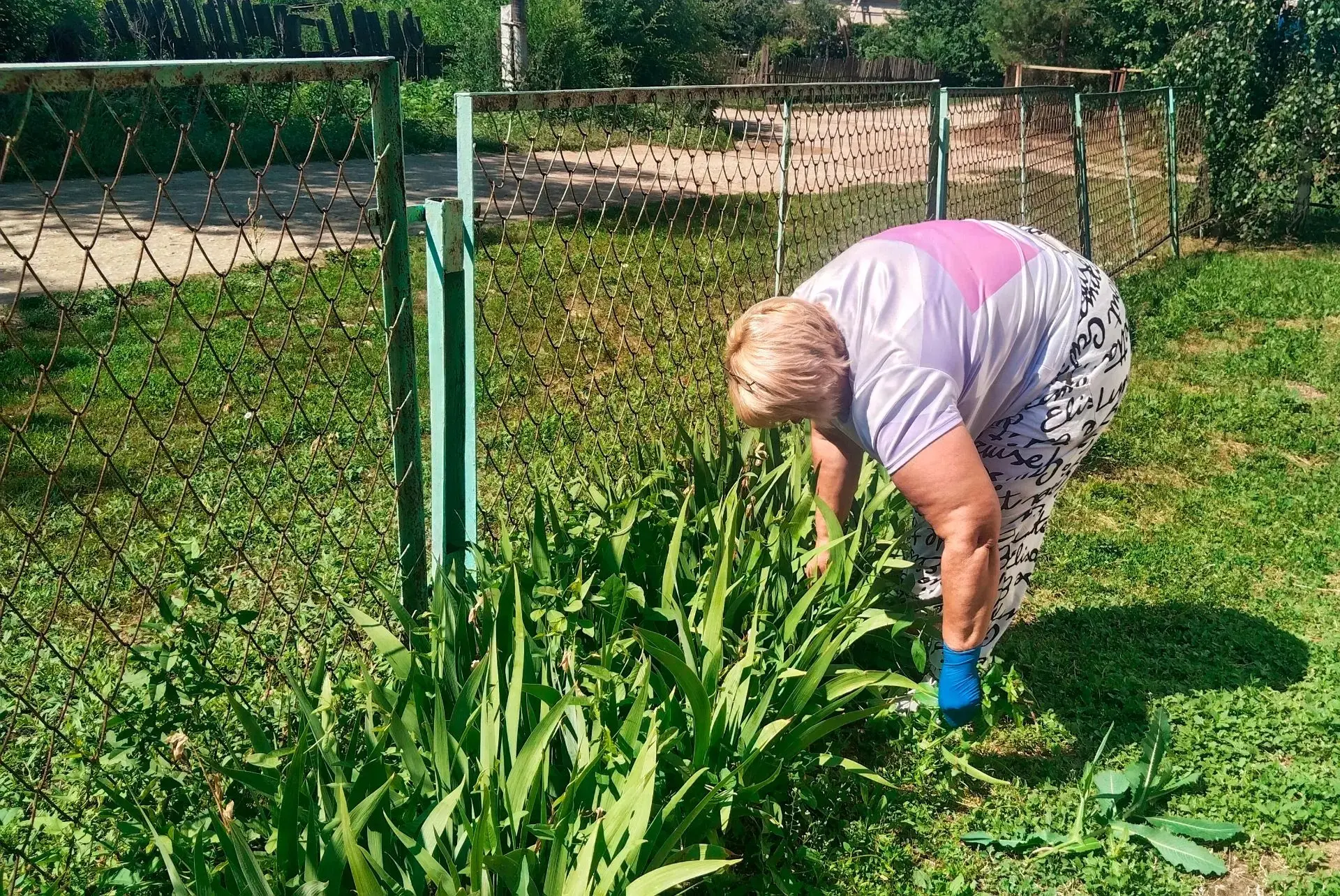 🧹🧹🧹"Потрудиться вышли дружно,
Всё сегодня уберём,
🍃🍃🍃Лейки, мётлы, всё, что нужно
Мы с собою п