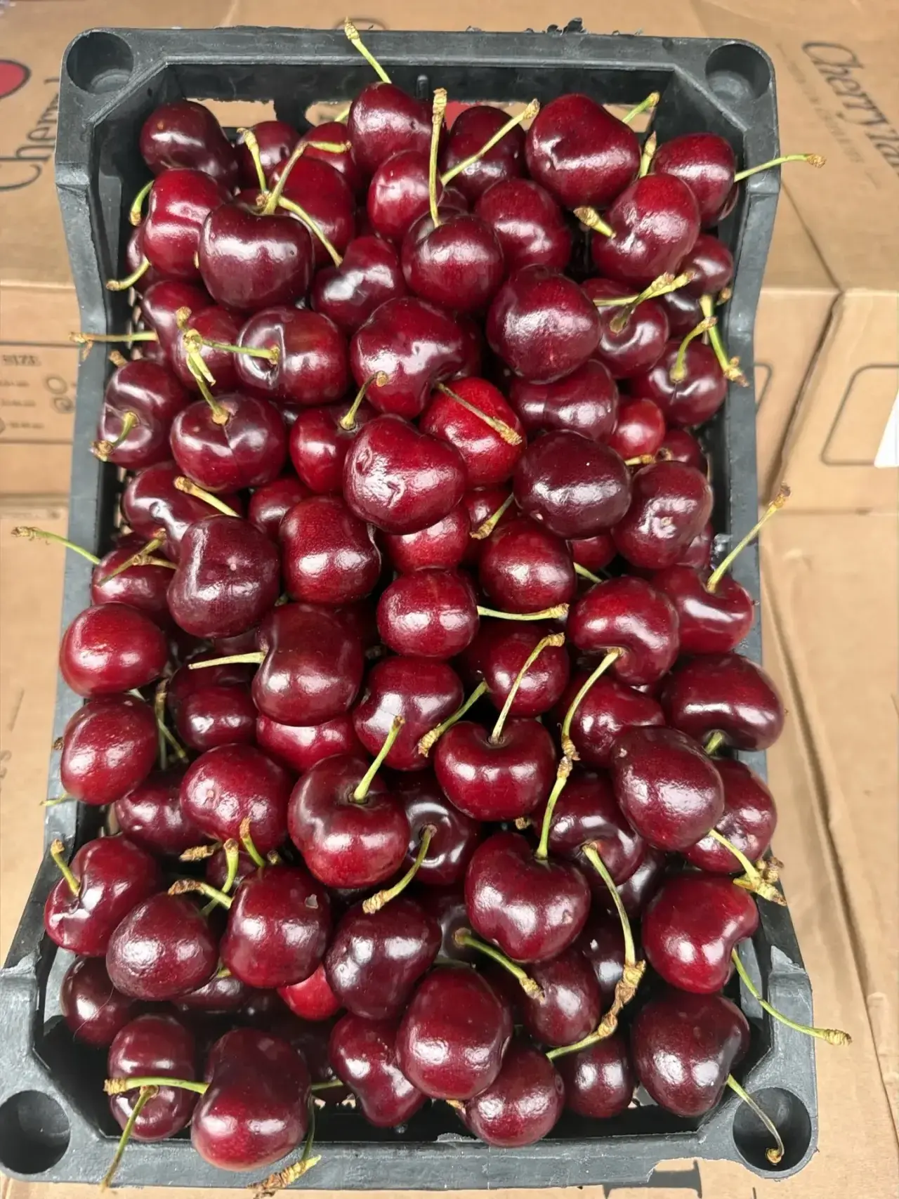 Черешня Узбекистан 🍒