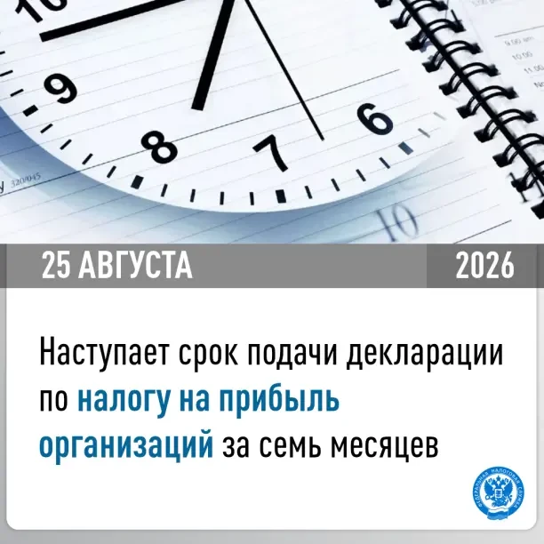 Напоминаем о сроке уплаты налогов в августе.