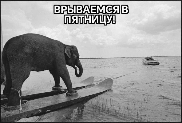 #мчп
