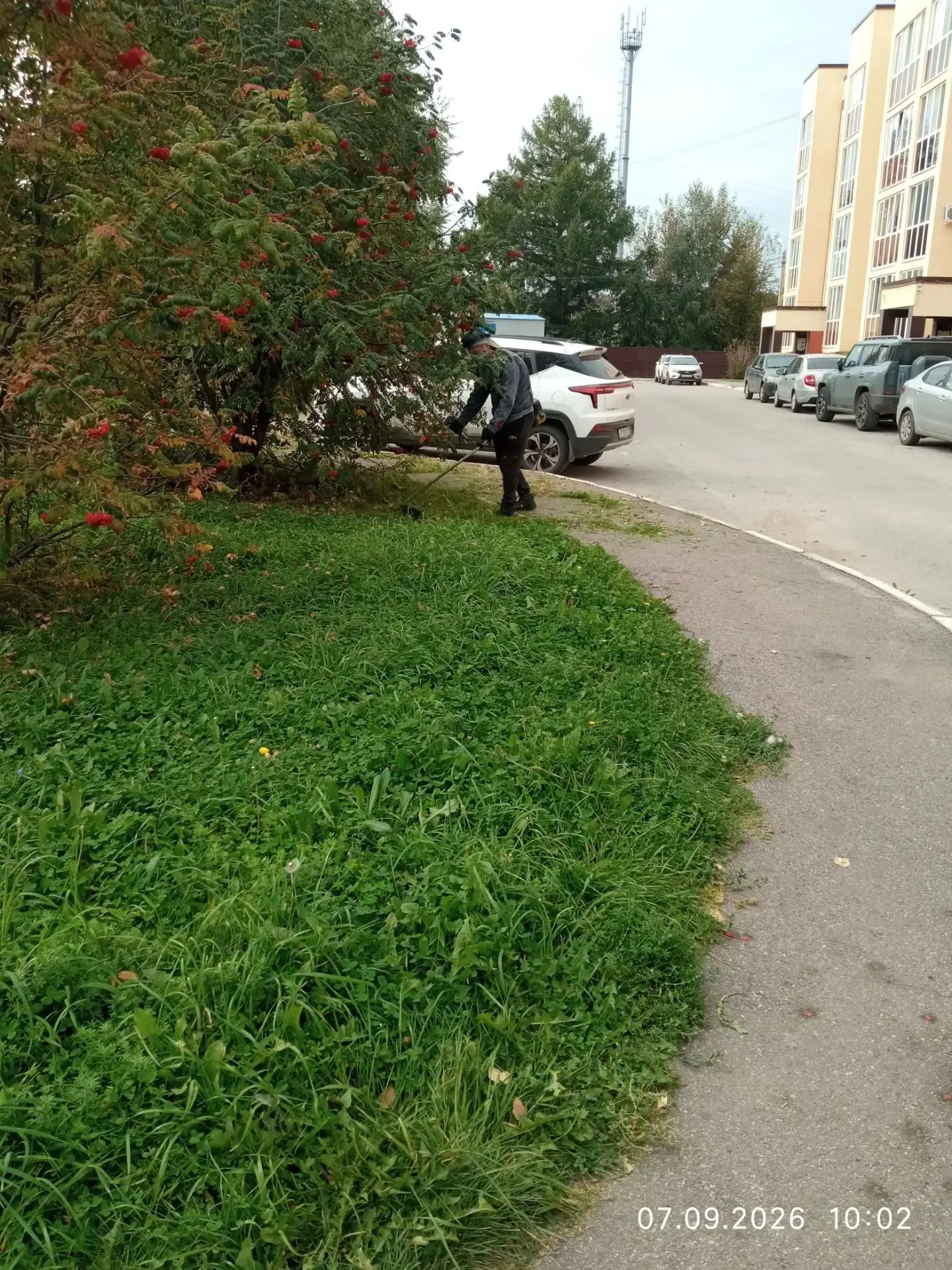 В жилом комплексе "Михайловка Place" сотрудники управляющей компании ухаживают за газон...