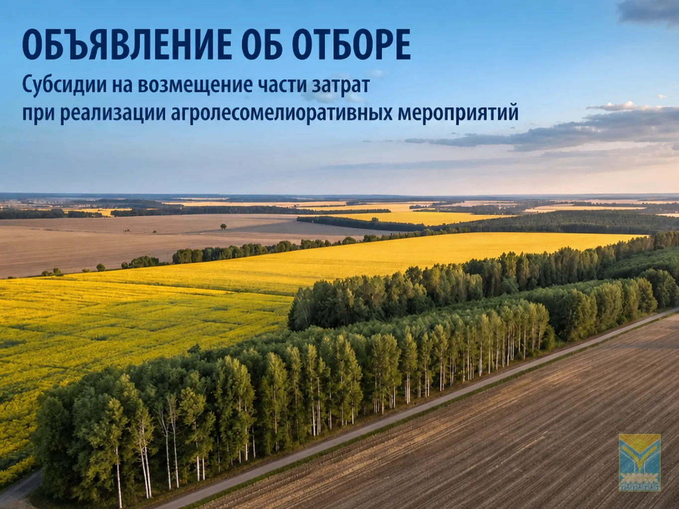 ОБЪЯВЛЕНИЕ ОБ ОТБОРЕ