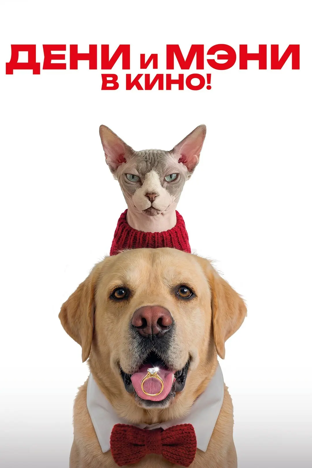 Приглашаем детей и взрослых 08.08 в 15:00 на просмотр семейной комедии «Дени и Мэни в к...