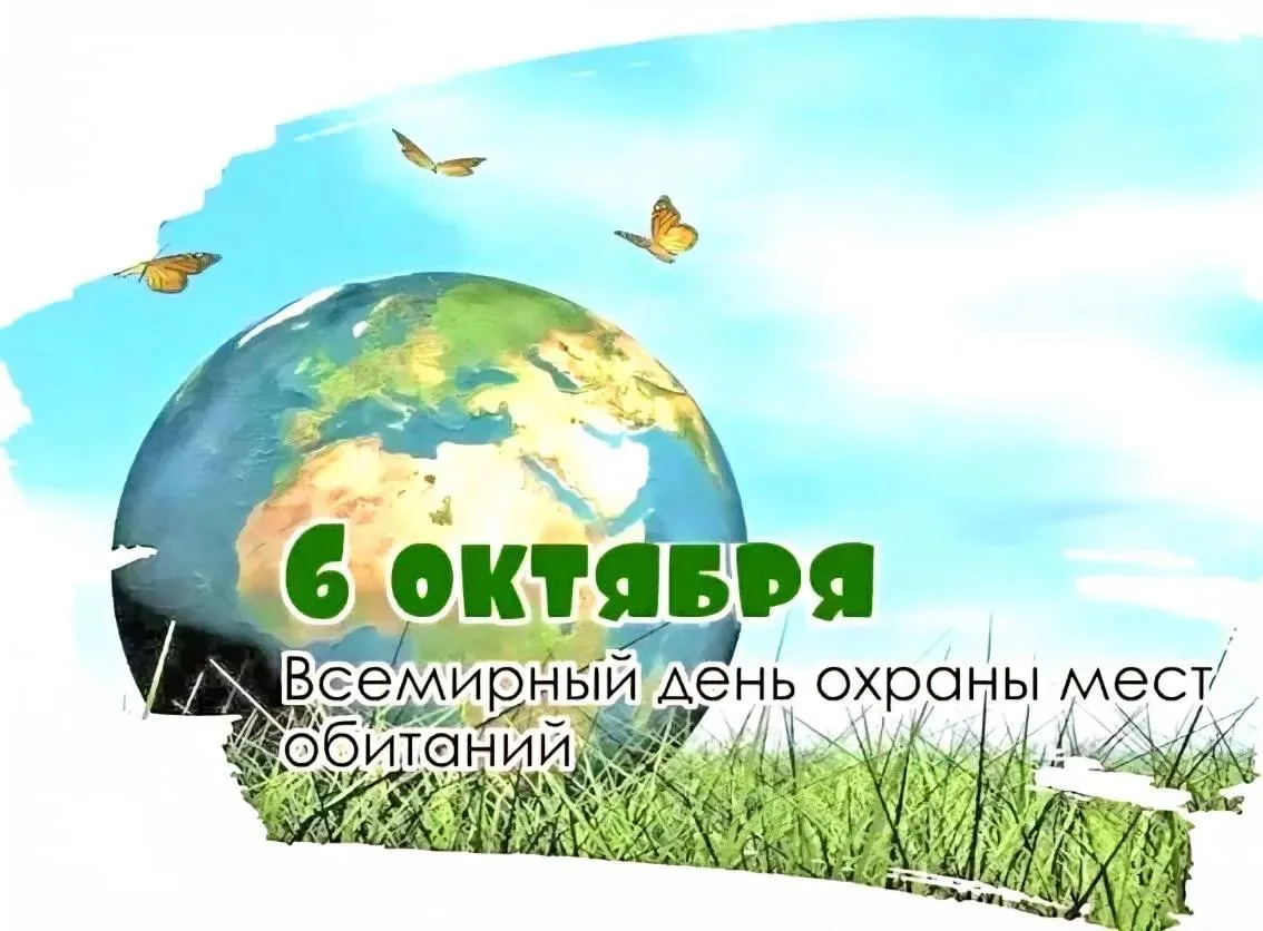6 октября отмечается Всемирный день охраны мест обитаний