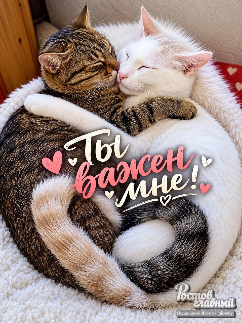 Сегодня отмечают День "Ты важен мне" 💞