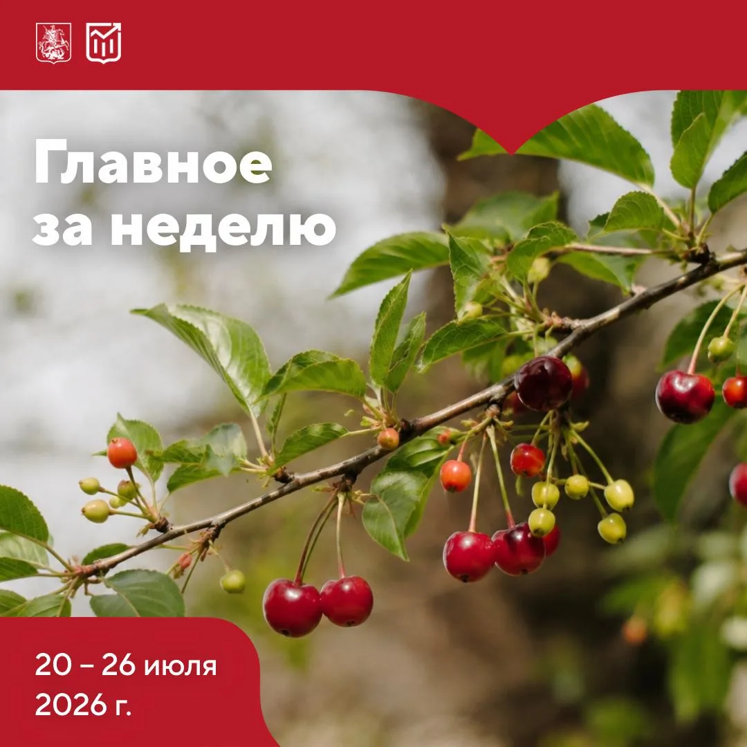 Самое важное за неделю⚡️

В стране:

➡ Банк России снизил ключевую ставку до 14,00% годовых

➡ Прези