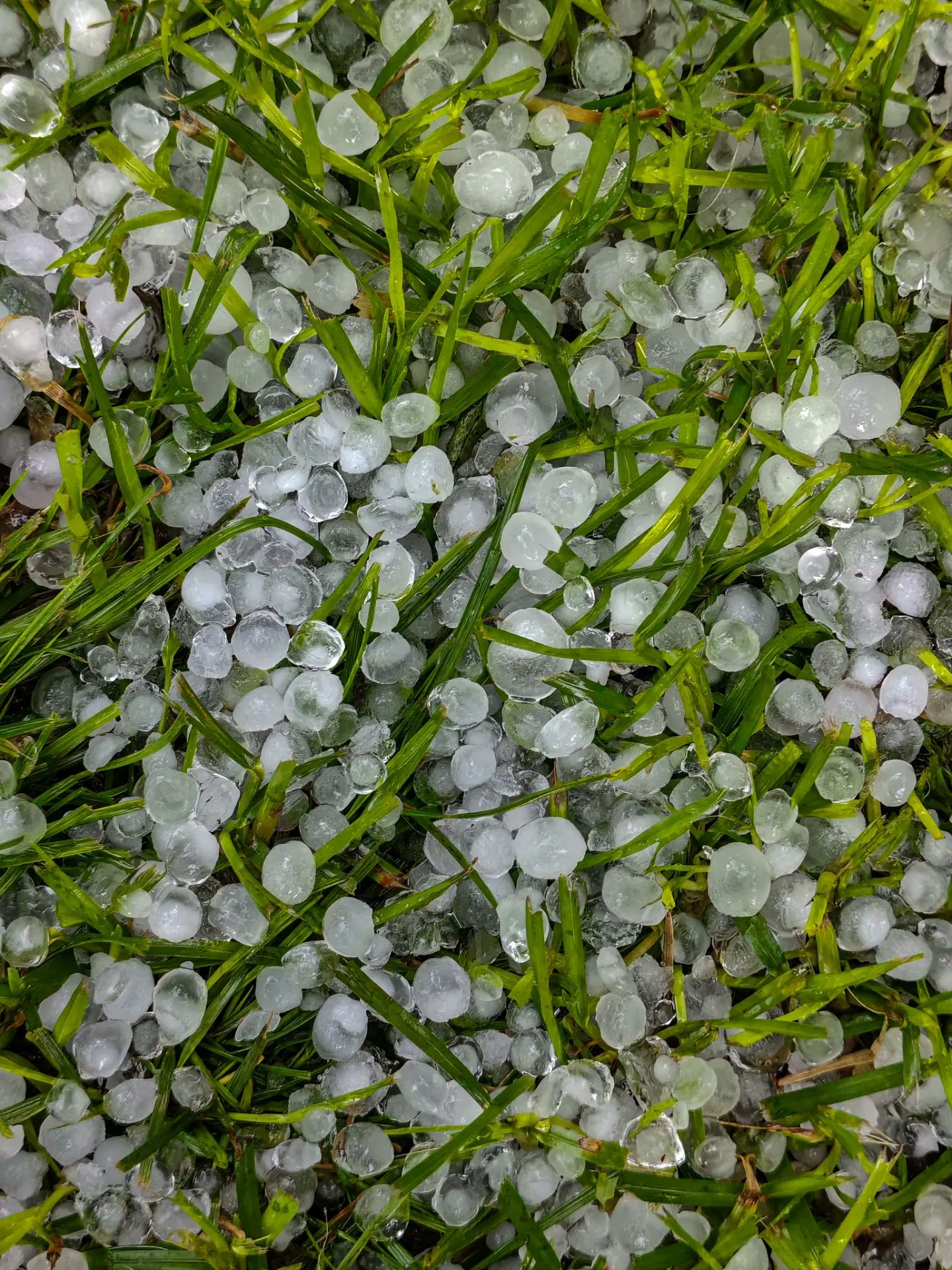 Шанс увидеть сугробы в июле никогда не равен нулю 🌧️🌪️
