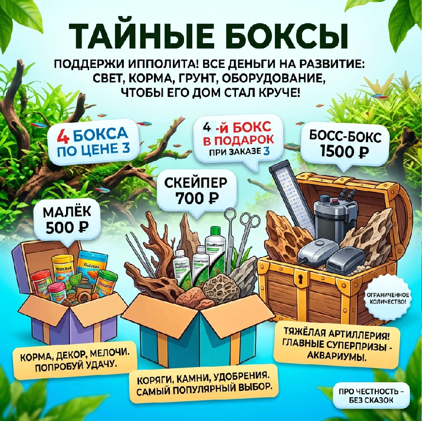 Друзья, я тут решил устроить движ!